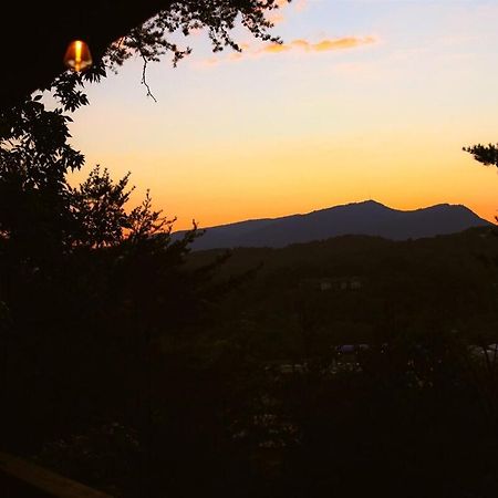 Bluff Mountain View Villa Pigeon Forge Bagian luar foto